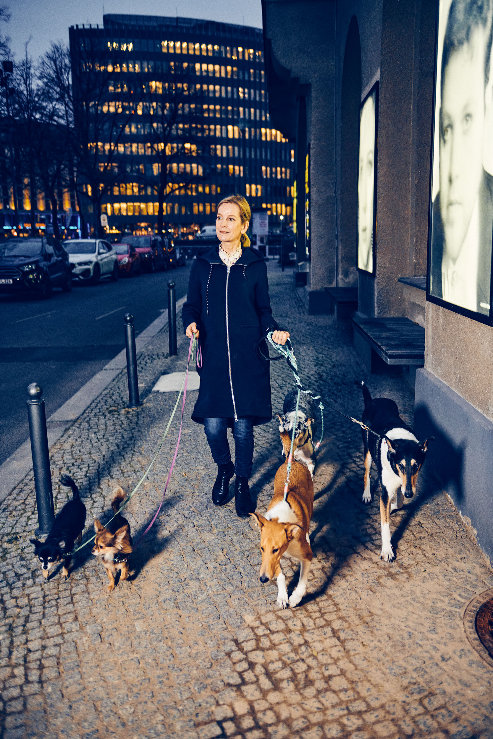 urban zintel photography — 5 dogs & judith engel
